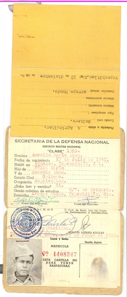 AMarin003.jpg