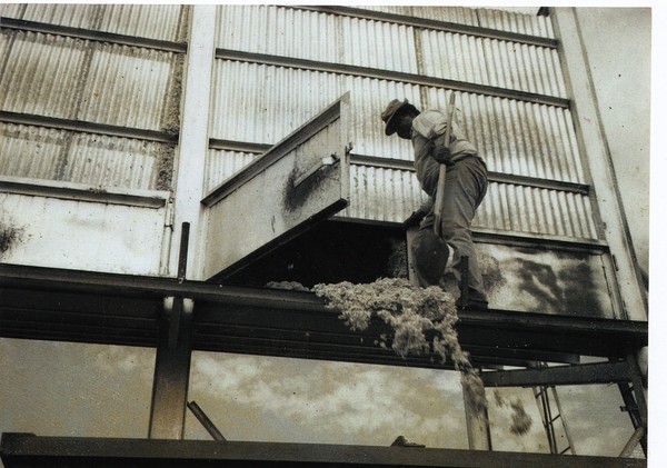 antonio maese goodyear farm.jpg