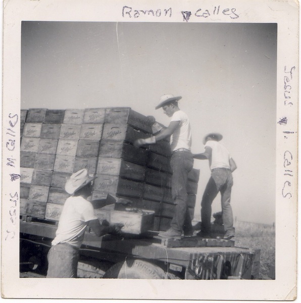 Calles, Jesus M - bracero picture 1 1964.jpg