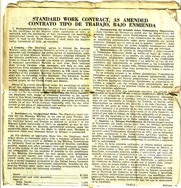 espino16copy.jpg