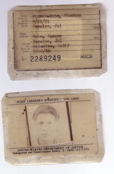 FLORES04.jpg