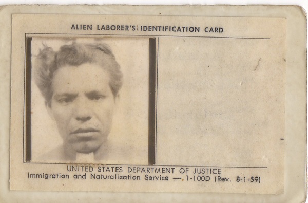 Hernandez Arreola, Raul - Alien Laborers ID Card2.jpg