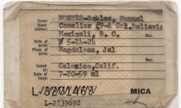 Montes-Robles, Manuel - Alien Labor ID 2 copy.jpg