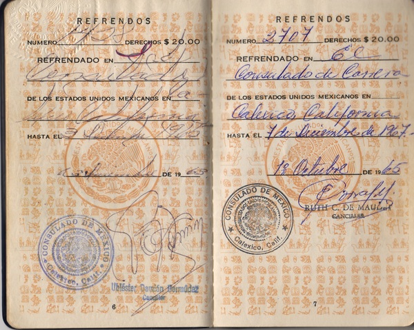 NavarroFedericoPassport4.jpg