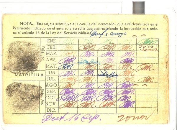 NSaldana002.jpg