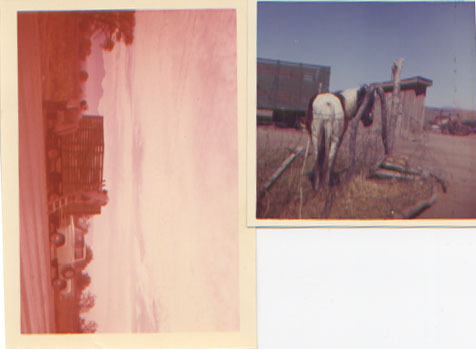 outhouse.jpg