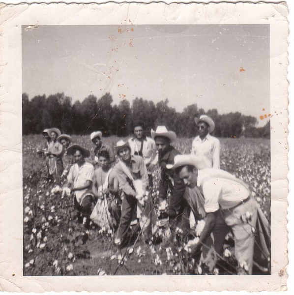 Pizca algodon Arkansas (back row, 2dn front to back -no hat-).jpg