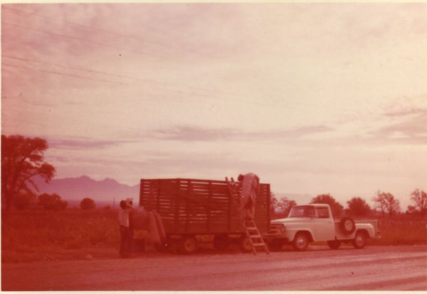 truck on road.jpg