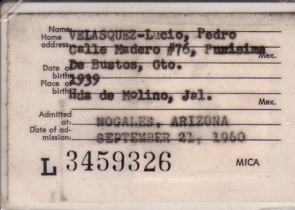 VelasquezLucioPedro - mica1.jpg