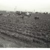 NAD-2004.0138.43.06.jpg