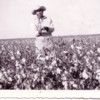 e santiago3.jpg