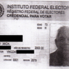 Venegas Apolonio - mx voting card copy.jpg